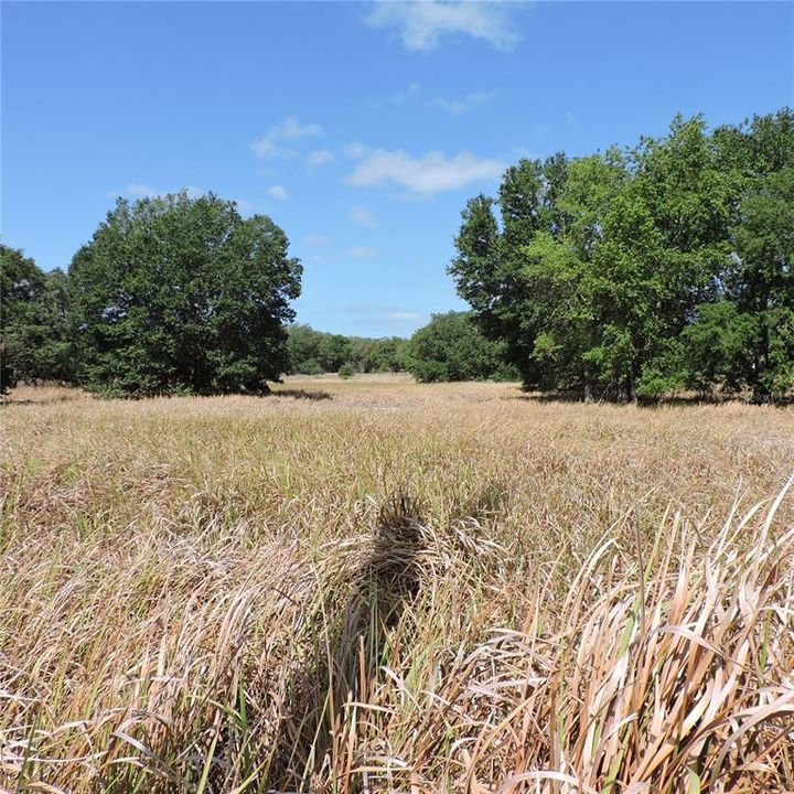 En Venta: $275,000 (10.00 acres)