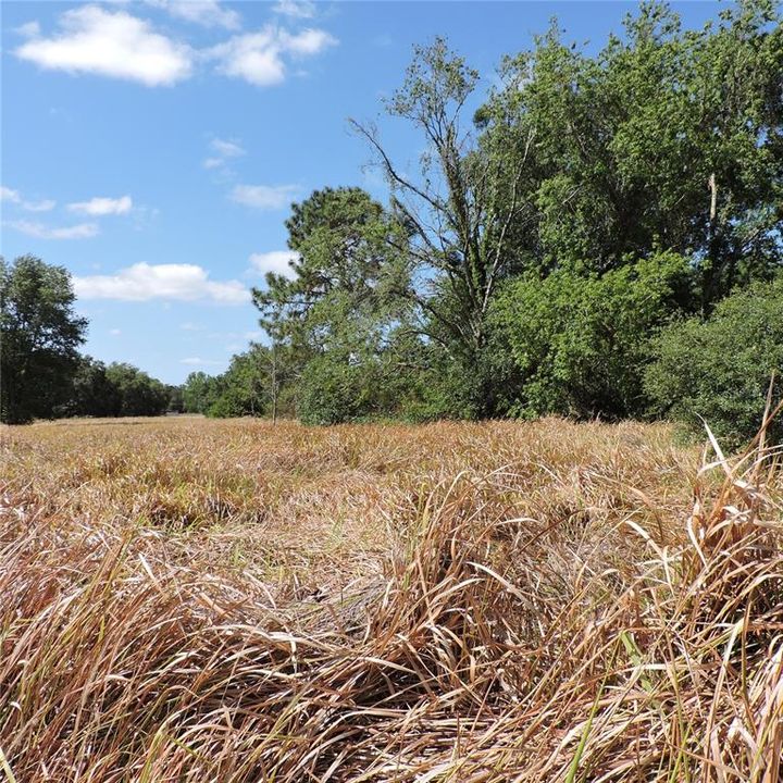 En Venta: $275,000 (10.00 acres)