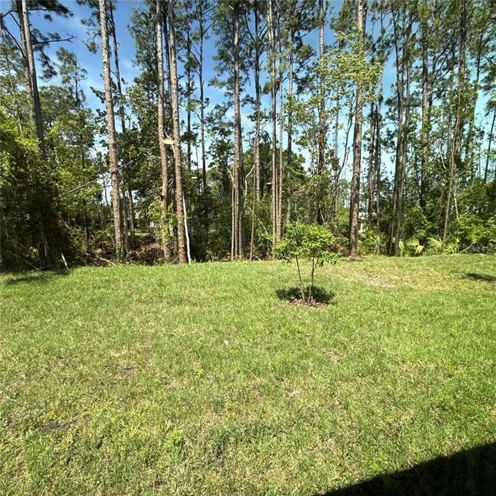 En Venta: $279,990 (3 camas, 2 baños, 1284 Pies cuadrados)