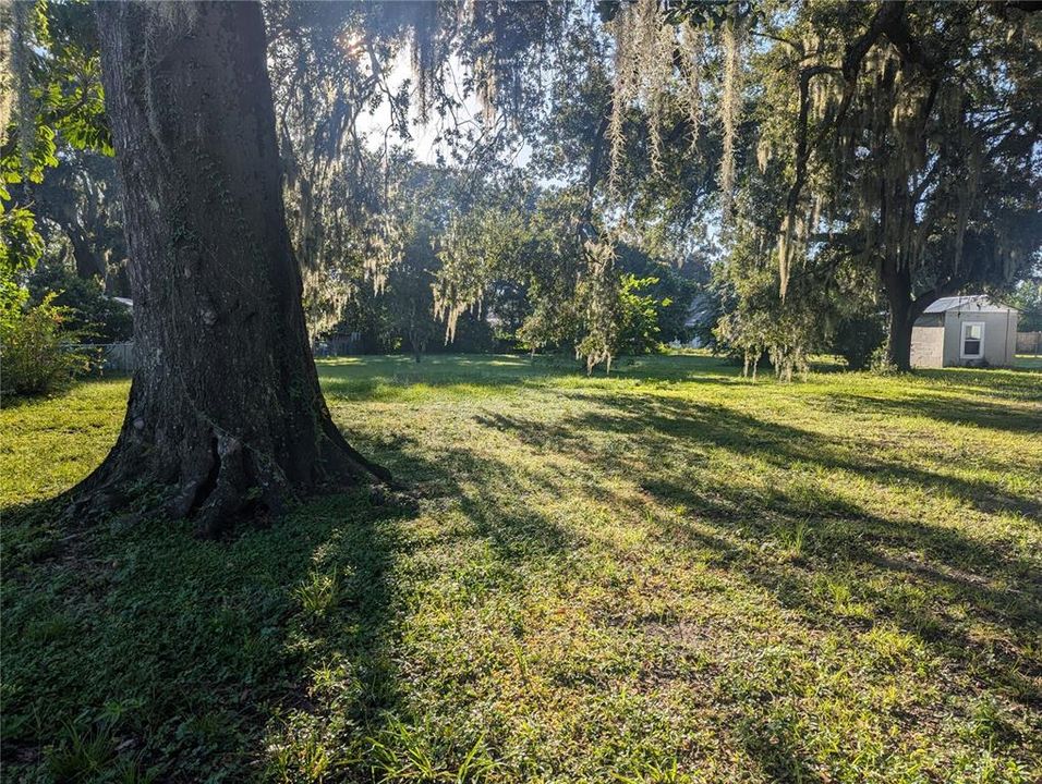 待售: $40,000 (0.36 acres)