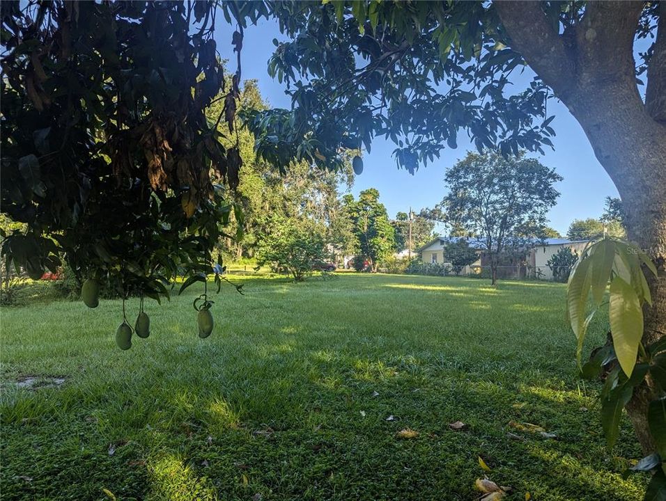 待售: $40,000 (0.36 acres)