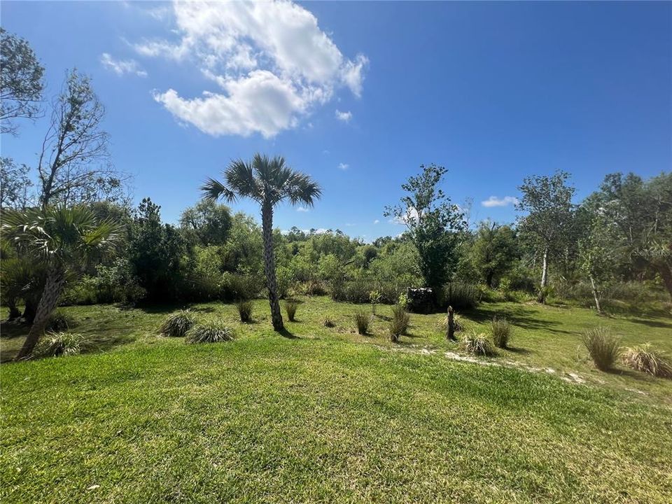 For Rent: $1,800 (3 beds, 2 baths, 1456 Square Feet)