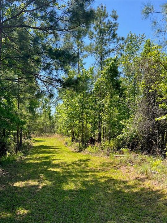 最近售出: $316,880 (39.61 acres)