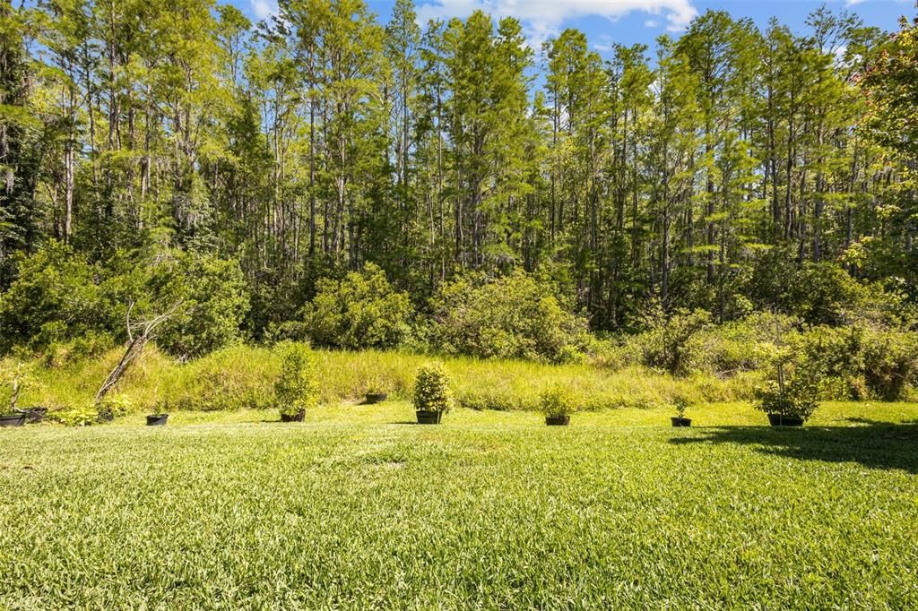 待售: $750,000 (4 贝兹, 3 浴室, 2887 平方英尺)