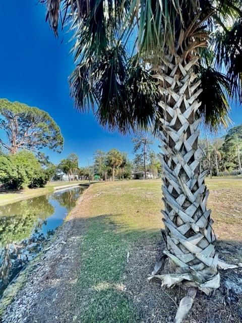 En Venta: $95,000 (0.18 acres)