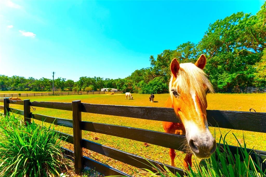 待售: $1,395,000 (3 贝兹, 2 浴室, 2973 平方英尺)