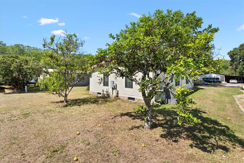 Active With Contract: $137,000 (2 beds, 2 baths, 1248 Square Feet)