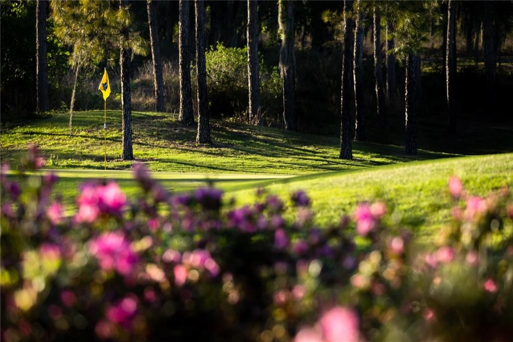 En Venta: $399,999 (2 camas, 2 baños, 2031 Pies cuadrados)