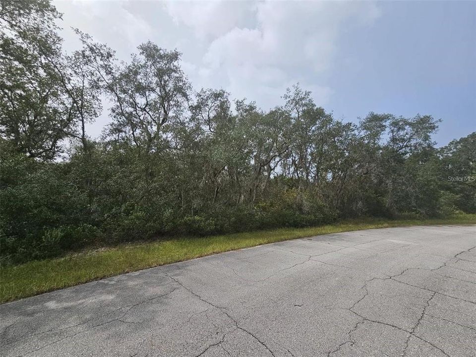 For Sale: $36,000 (0.19 acres)