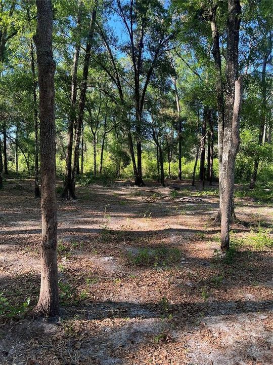 Recently Sold: $35,000 (1.00 acres)