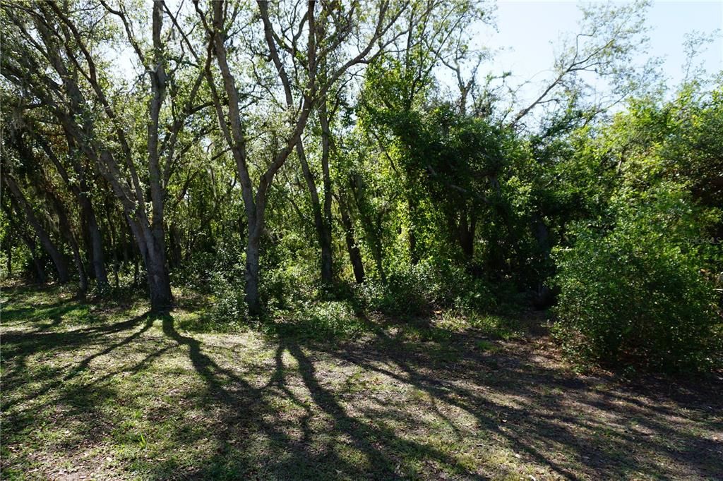 For Sale: $599,900 (3 beds, 2 baths, 1932 Square Feet)