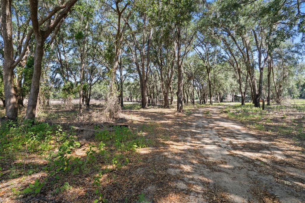 Activo con contrato: $184,900 (4.50 acres)