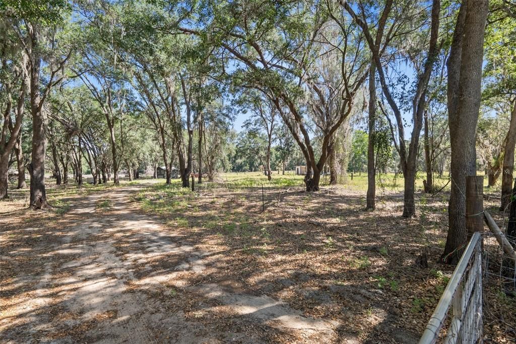 Activo con contrato: $184,900 (4.50 acres)