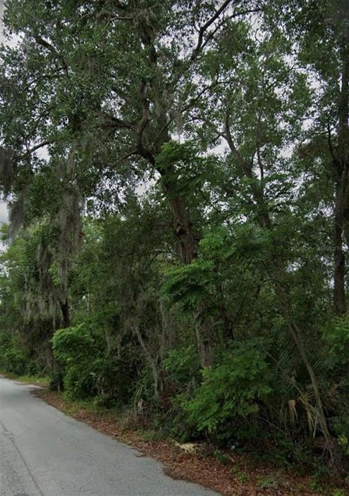 For Sale: $55,000 (0.34 acres)