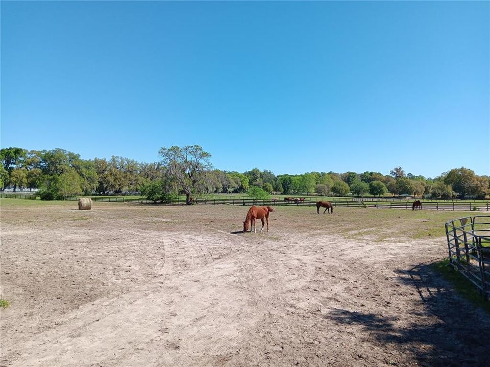 For Sale: $775,000 (1 beds, 1 baths, 1220 Square Feet)