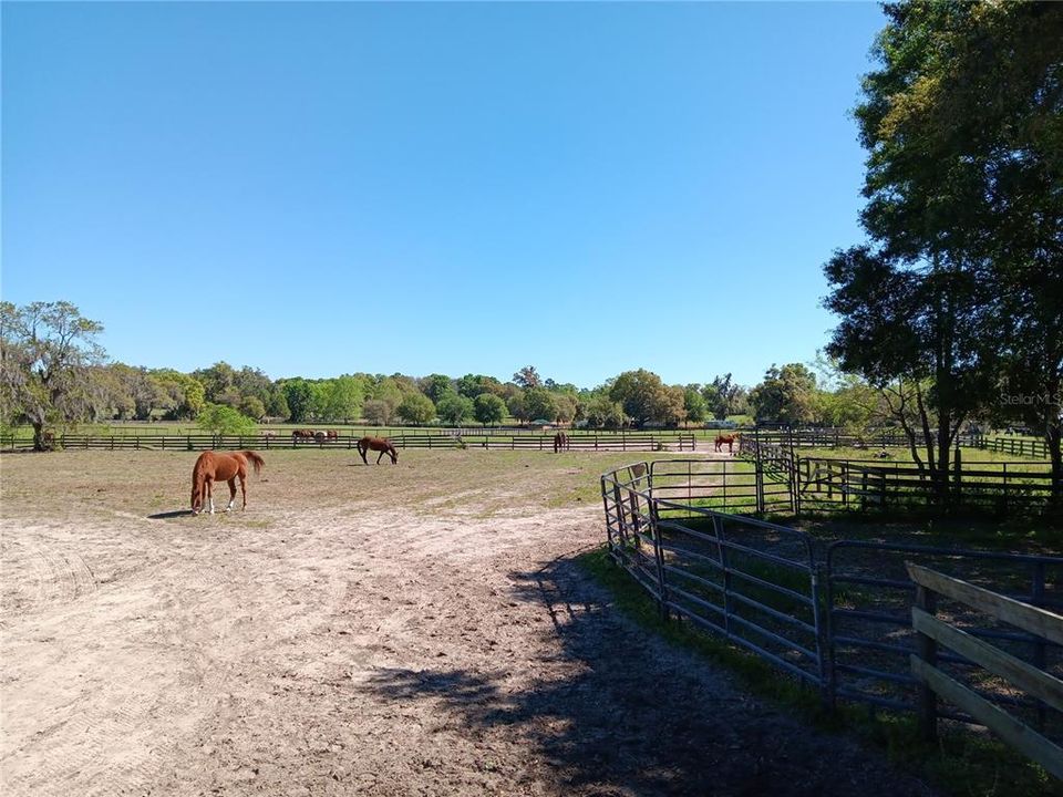 For Sale: $775,000 (1 beds, 1 baths, 1220 Square Feet)