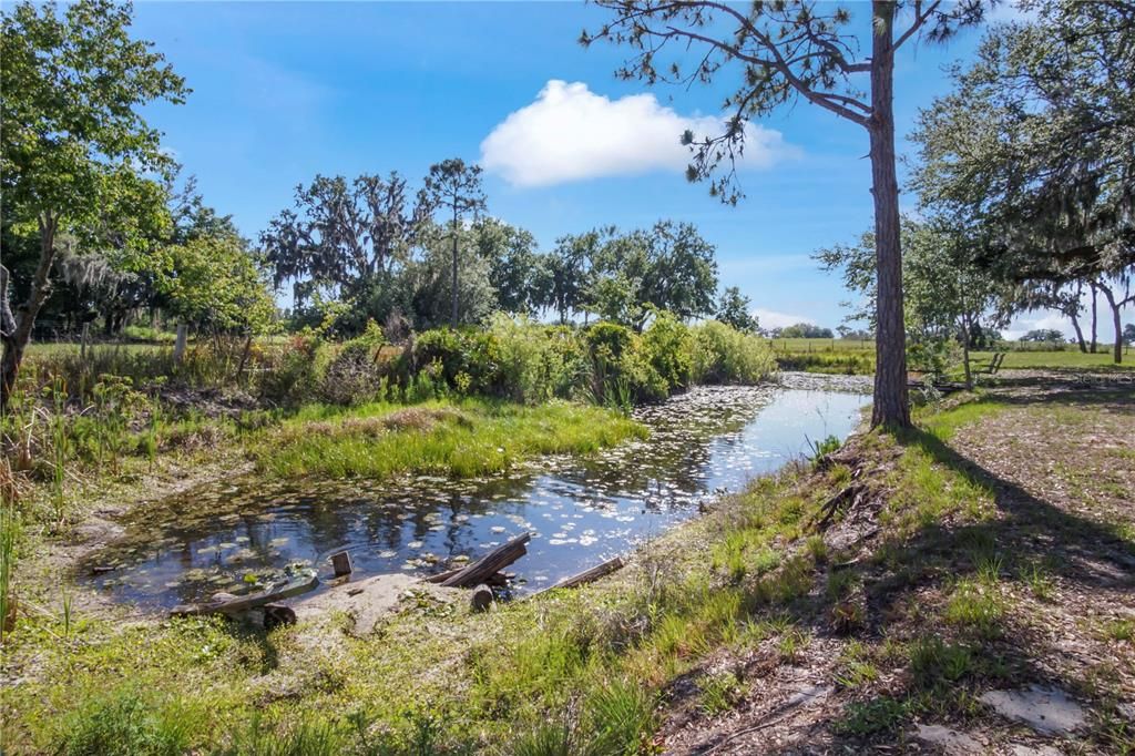 For Rent: $3,595 (4 beds, 2 baths, 2304 Square Feet)