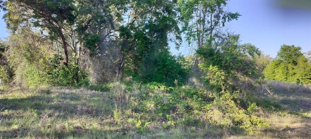 For Sale: $12,500 (0.22 acres)