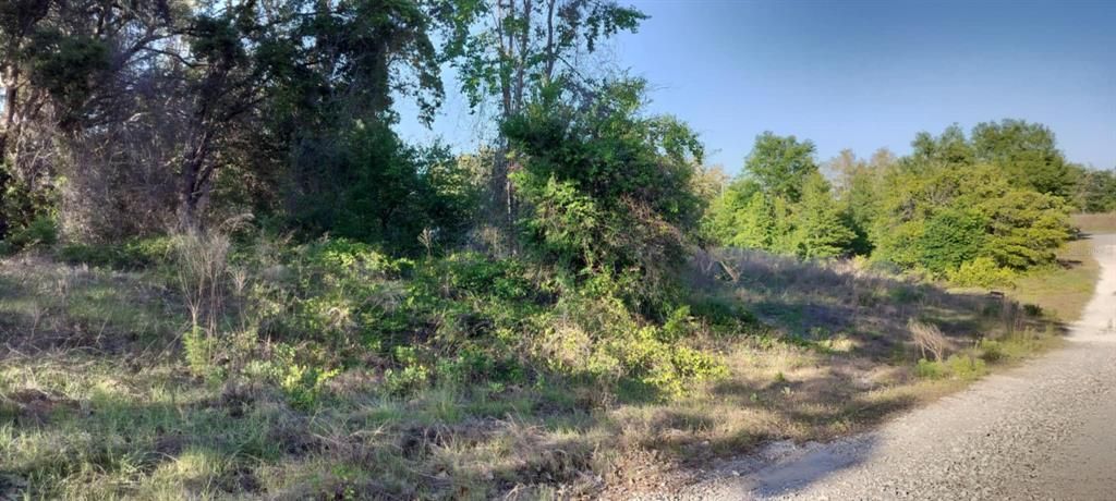 For Sale: $12,500 (0.22 acres)