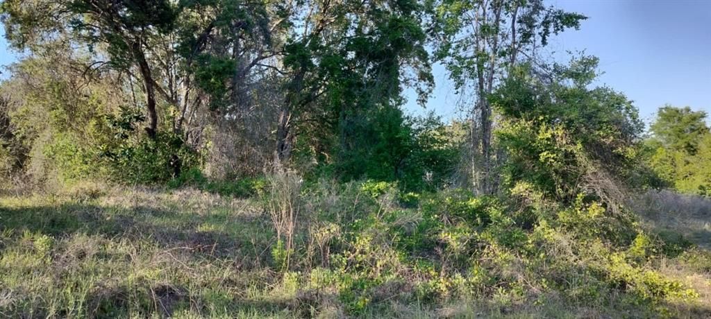 For Sale: $12,500 (0.22 acres)