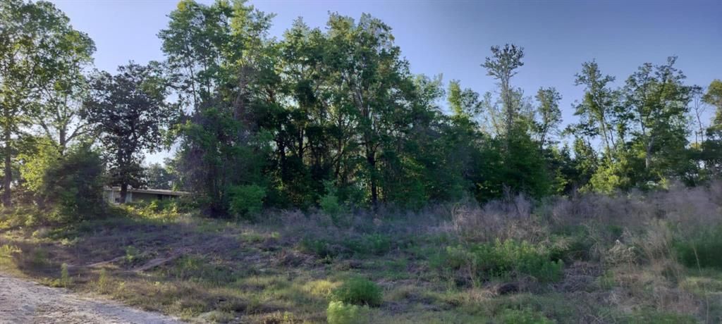 For Sale: $12,500 (0.22 acres)