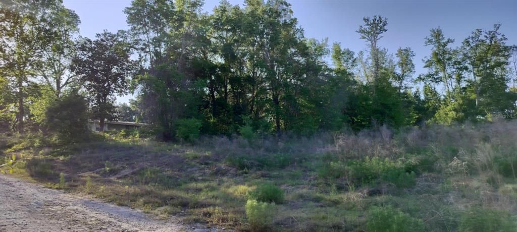 For Sale: $12,500 (0.22 acres)