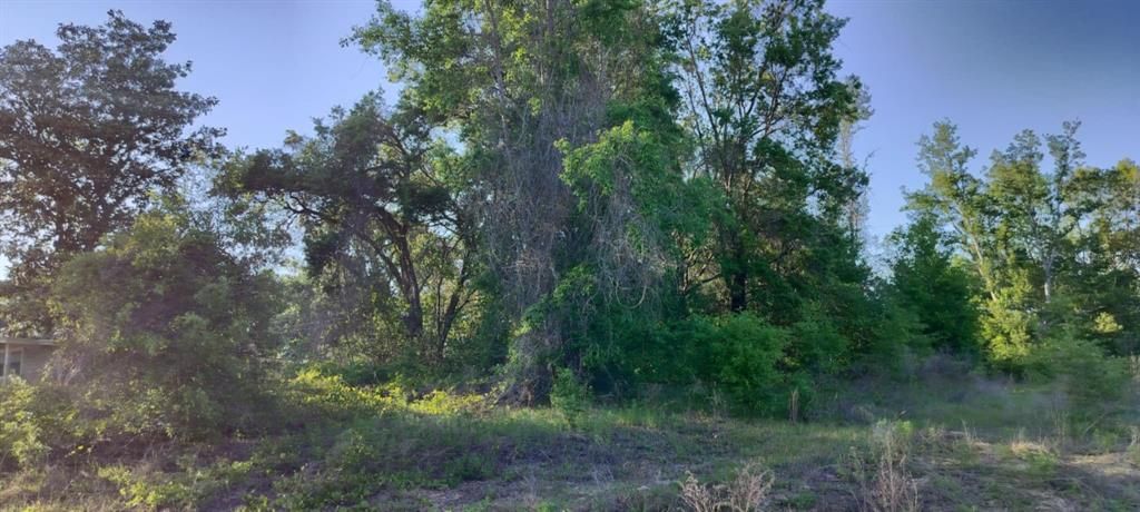 For Sale: $12,500 (0.22 acres)