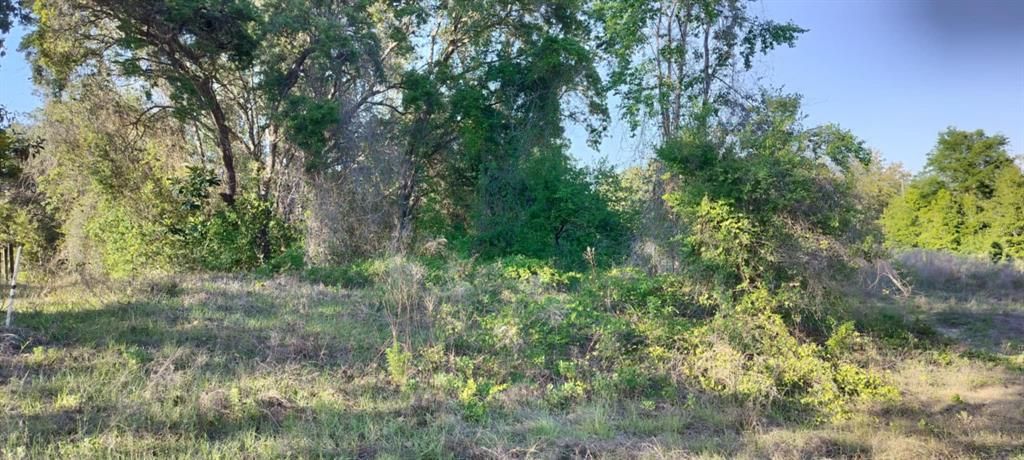 For Sale: $12,500 (0.22 acres)