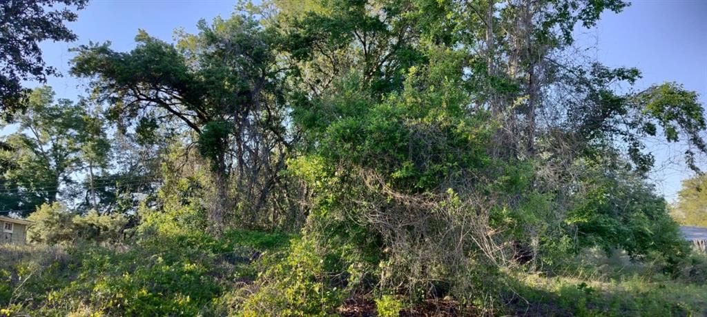 For Sale: $12,500 (0.22 acres)