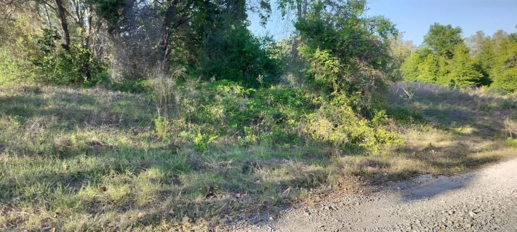 For Sale: $12,500 (0.22 acres)