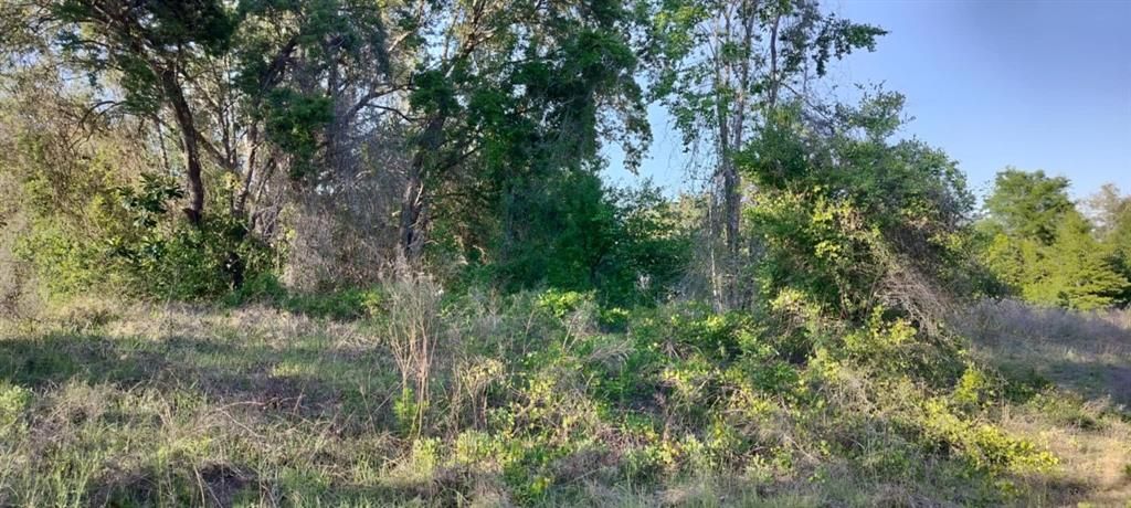 For Sale: $12,500 (0.22 acres)