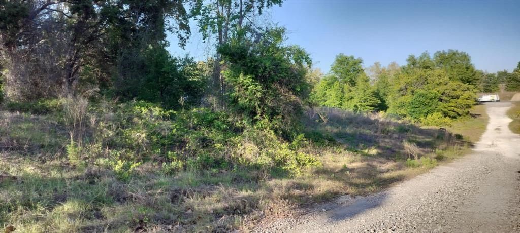 For Sale: $12,500 (0.22 acres)