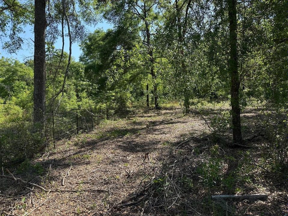 En Venta: $45,000 (2.01 acres)
