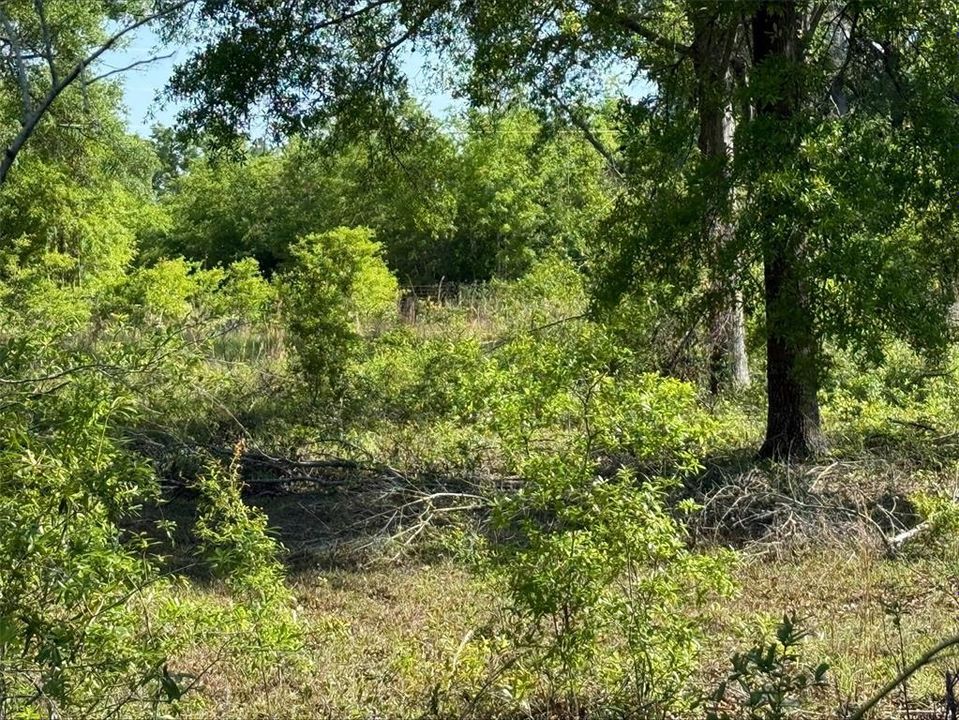 En Venta: $45,000 (2.01 acres)