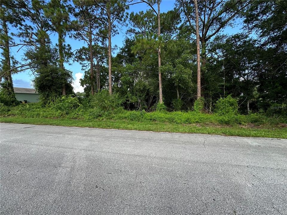 Recently Sold: $65,000 (0.25 acres)