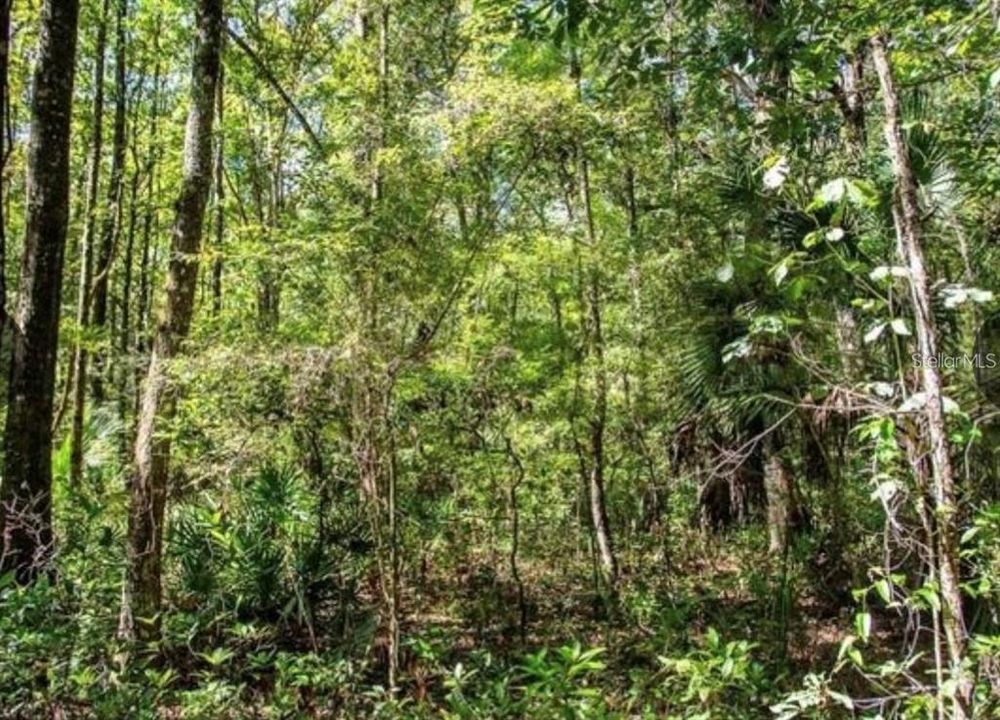 На продажу: $35,000 (2.47 acres)