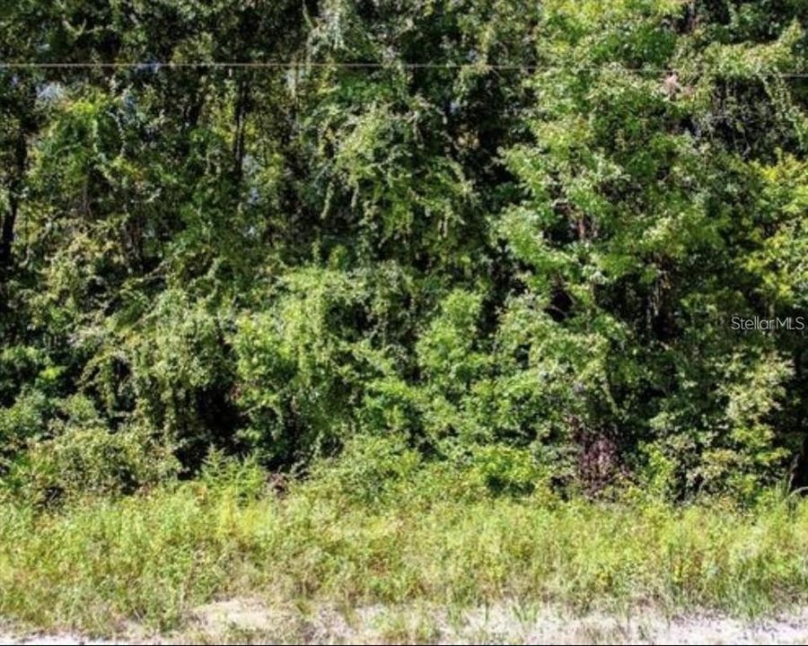 На продажу: $35,000 (2.47 acres)