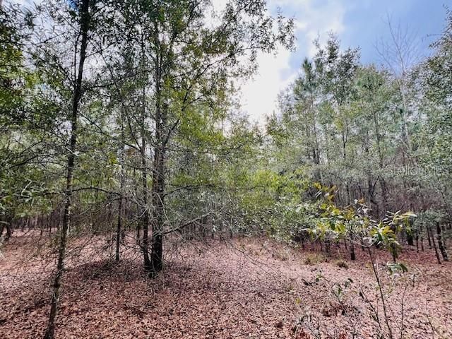 Недавно продано: $195,000 (20.09 acres)