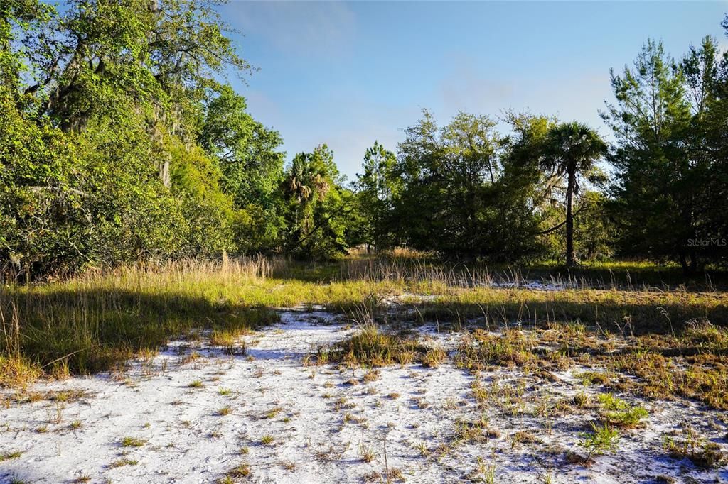 En Venta: $950,000 (82.82 acres)