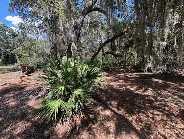 En Venta: $950,000 (82.82 acres)