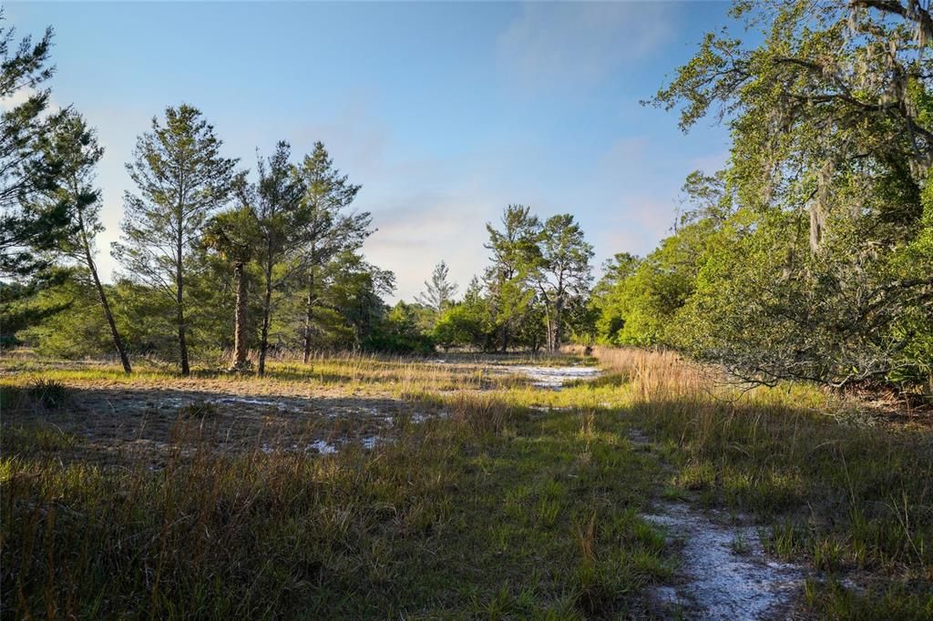 En Venta: $950,000 (82.82 acres)