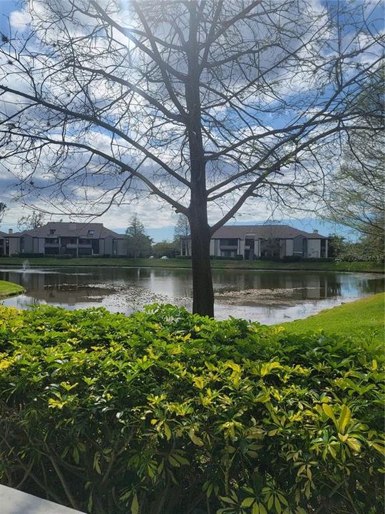 Недавно арендовано: $1,350 (1 спален, 1 ванн, 729 Квадратных фут)