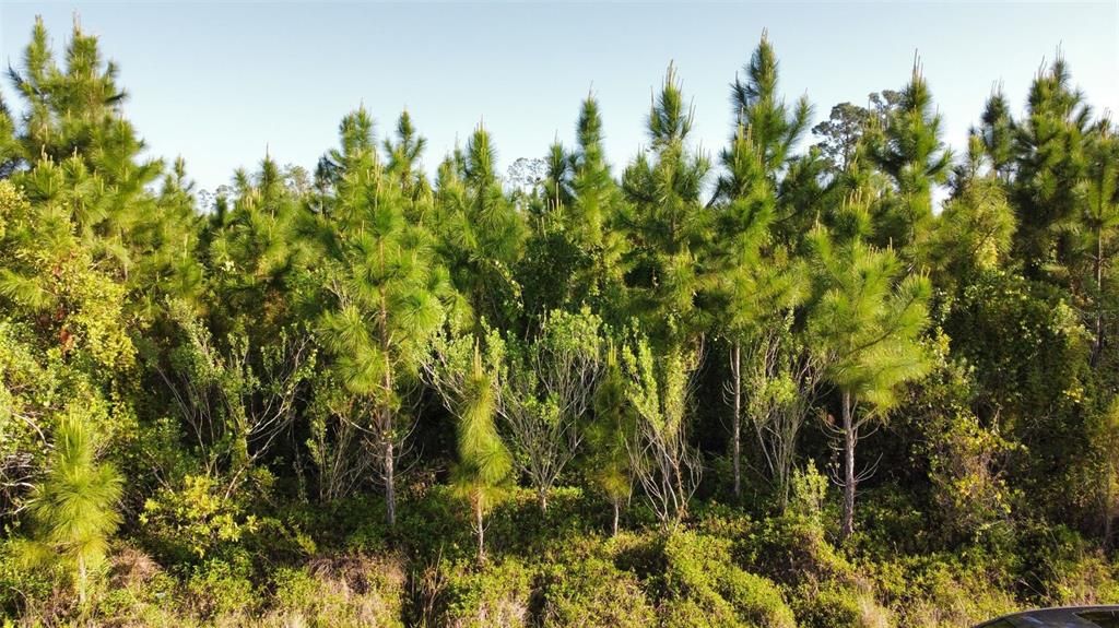 For Sale: $16,999 (0.50 acres)