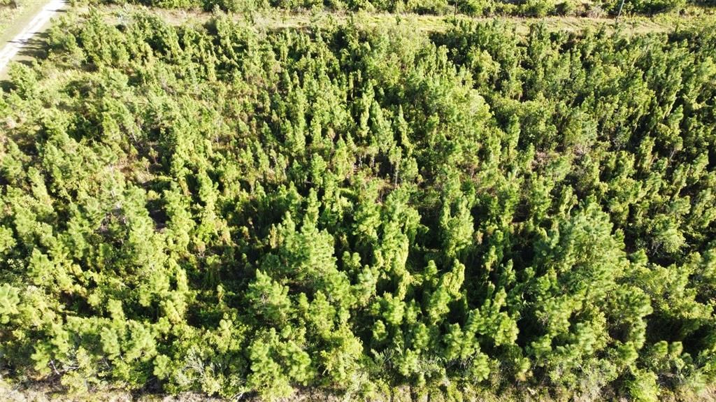 For Sale: $16,999 (0.50 acres)