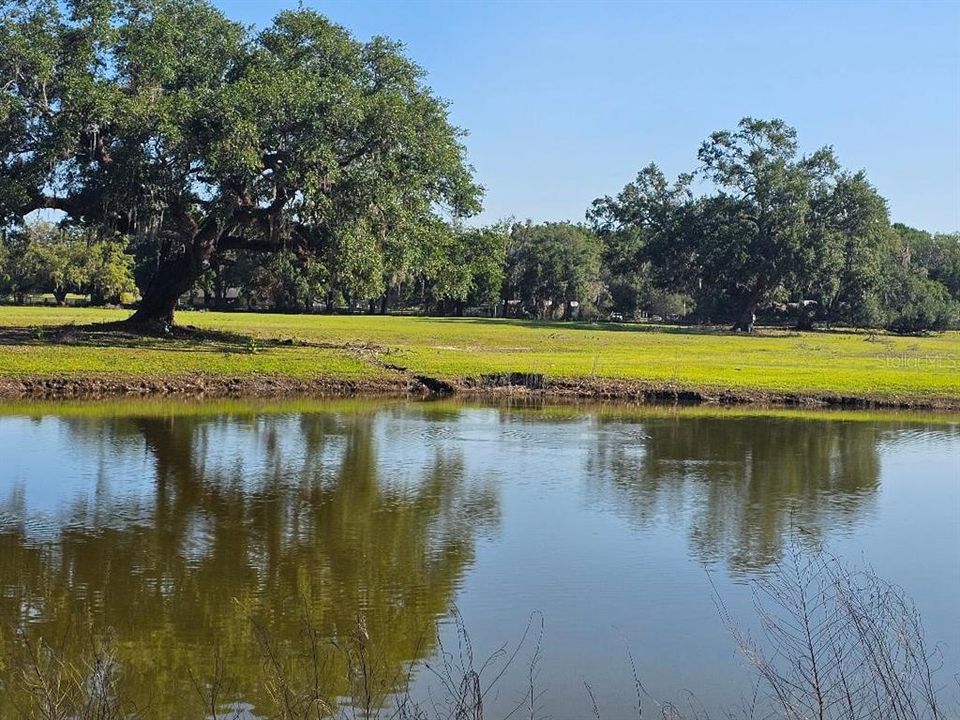 En Venta: $599,999 (20.31 acres)