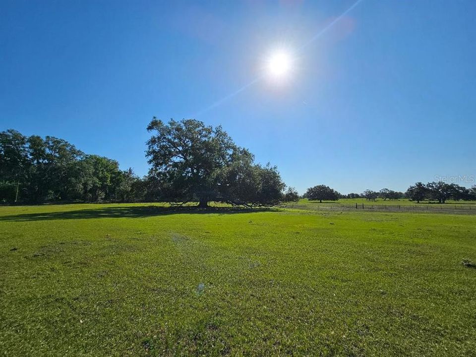 En Venta: $599,999 (20.31 acres)