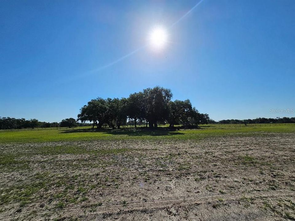 En Venta: $599,999 (20.31 acres)
