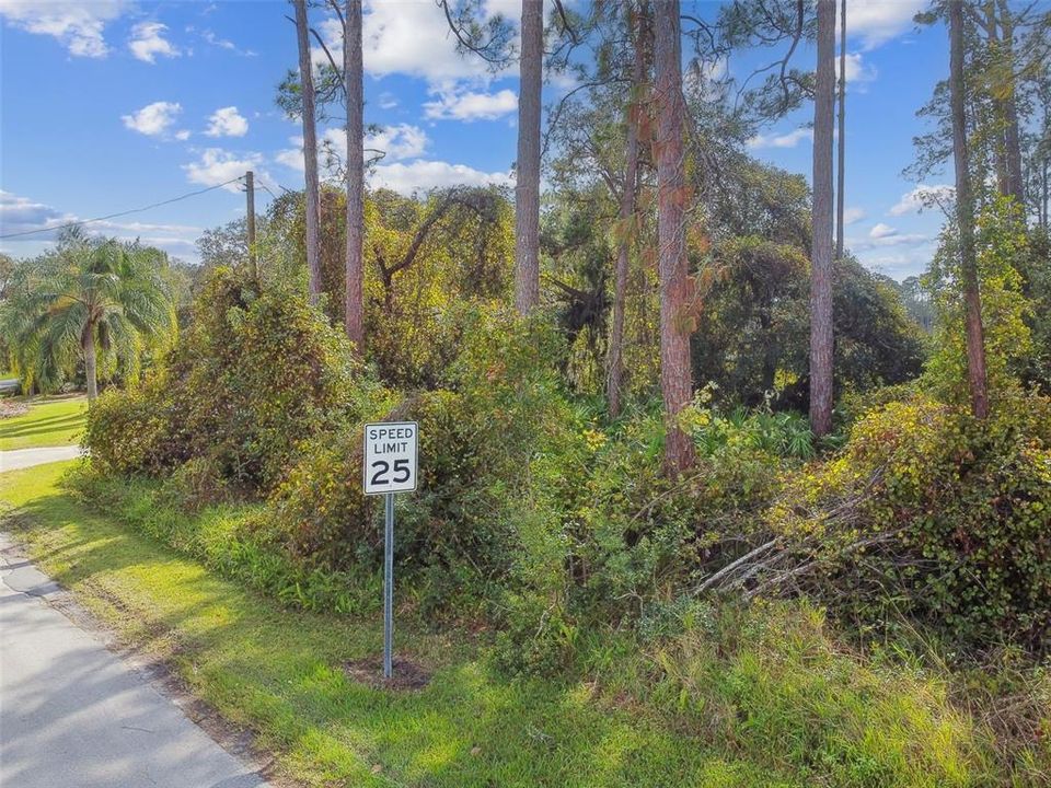 Active With Contract: $39,900 (0.29 acres)