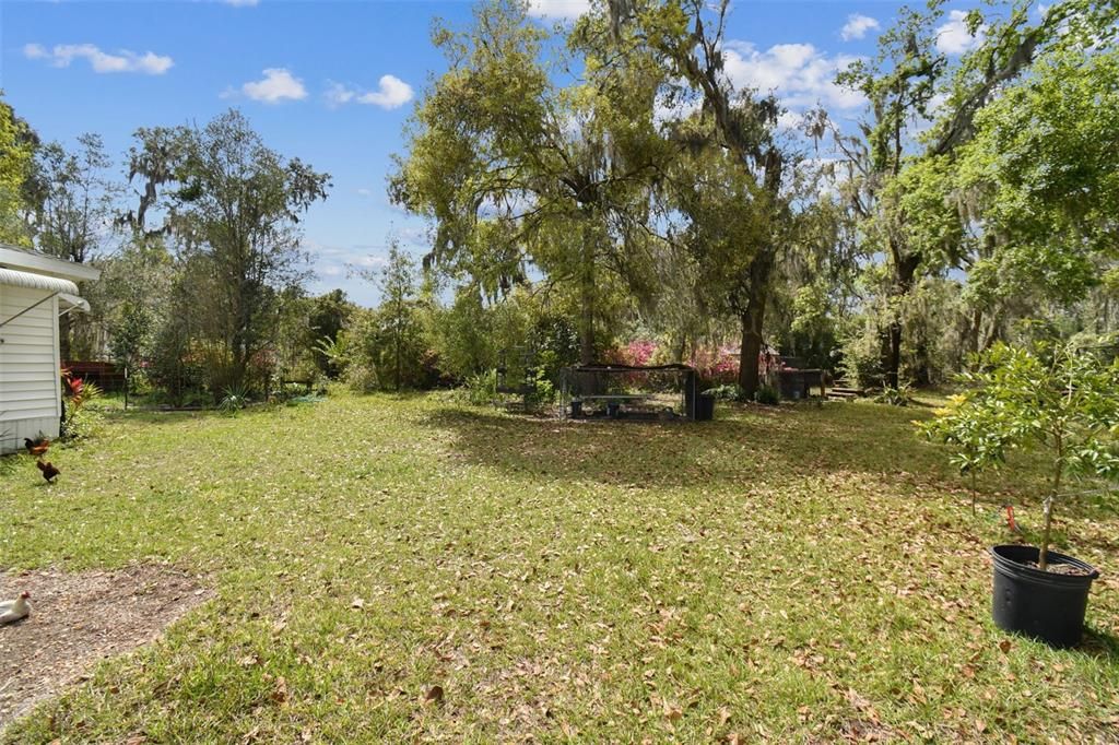 Activo con contrato: $310,000 (3 camas, 2 baños, 1456 Pies cuadrados)