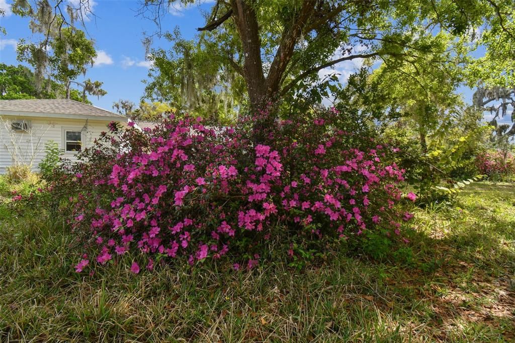 Activo con contrato: $310,000 (3 camas, 2 baños, 1456 Pies cuadrados)